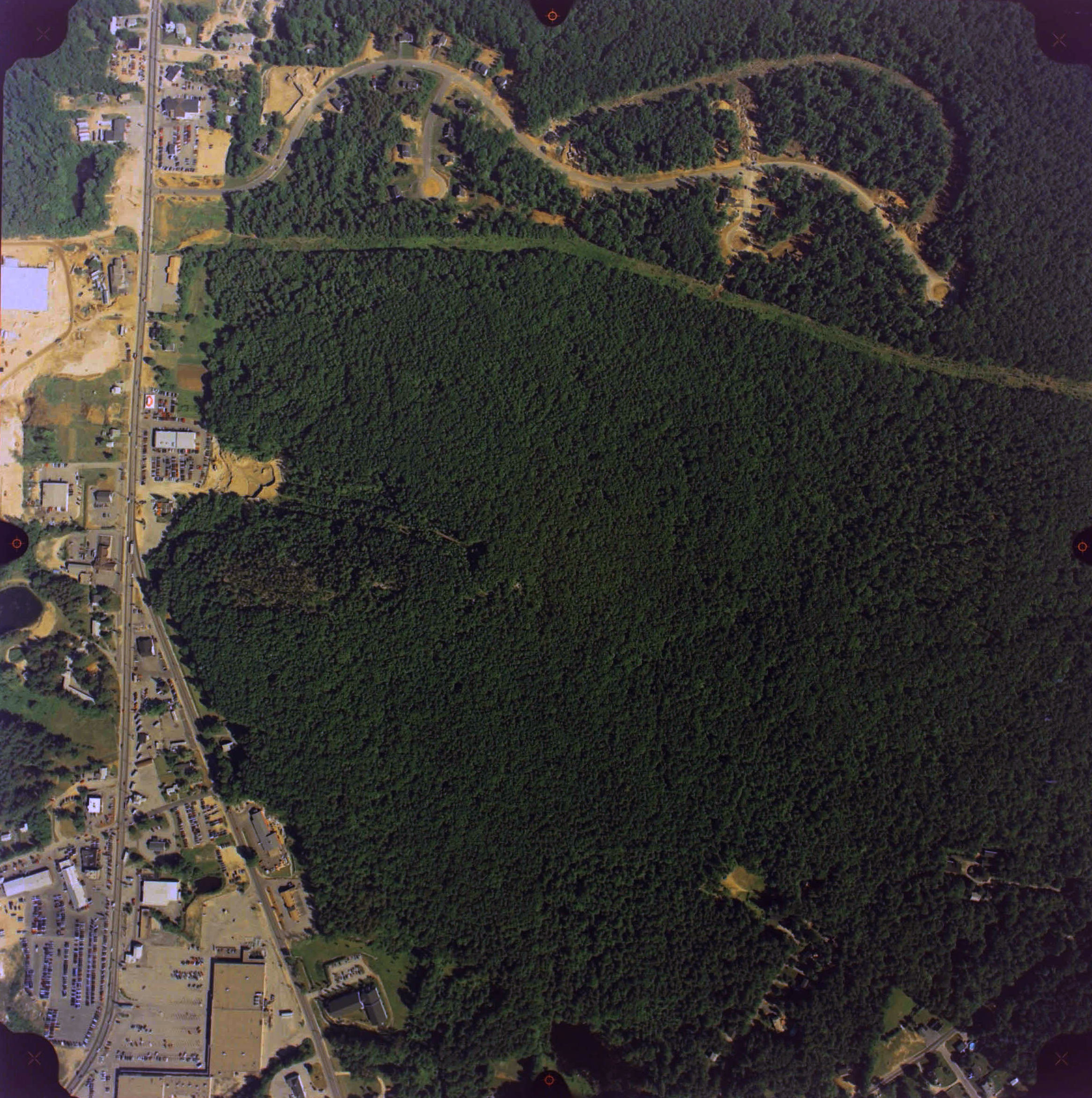 Color Negative Film Color Correction Adobe Support Community 12649511