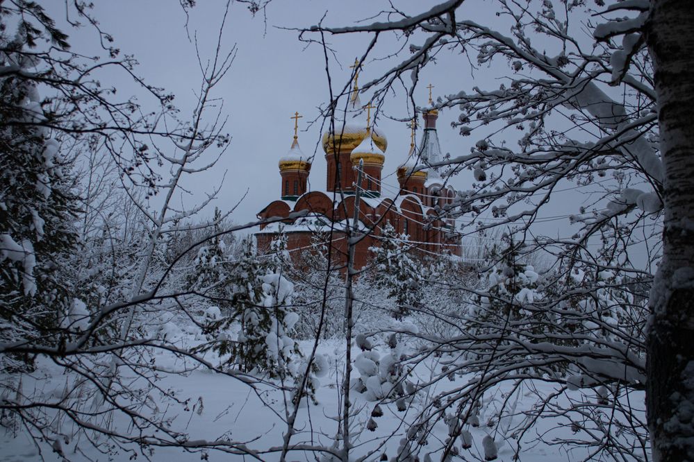 1. Orthodox Church through the branches of snow-covered trees. Horizontal orientation-1.jpg