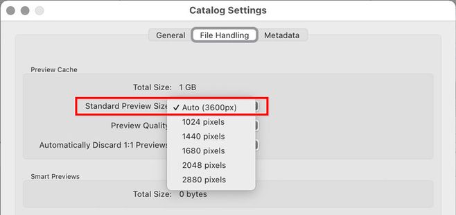 Lightroom-Classic-11-standard-preview-prefs.jpg
