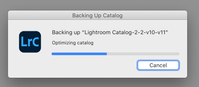 Screenshot 2022-01-14 at 17.19.43.png