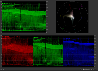 Nikon w zLog-Rec709.PNG