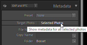 LR-metadata-selected.png