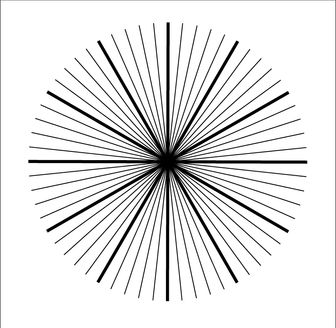 Illustrator Lines Only.jpg