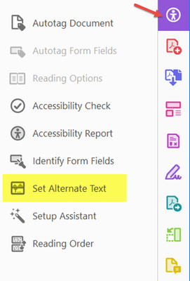 Alt-Text in the Accessibility tools panel.