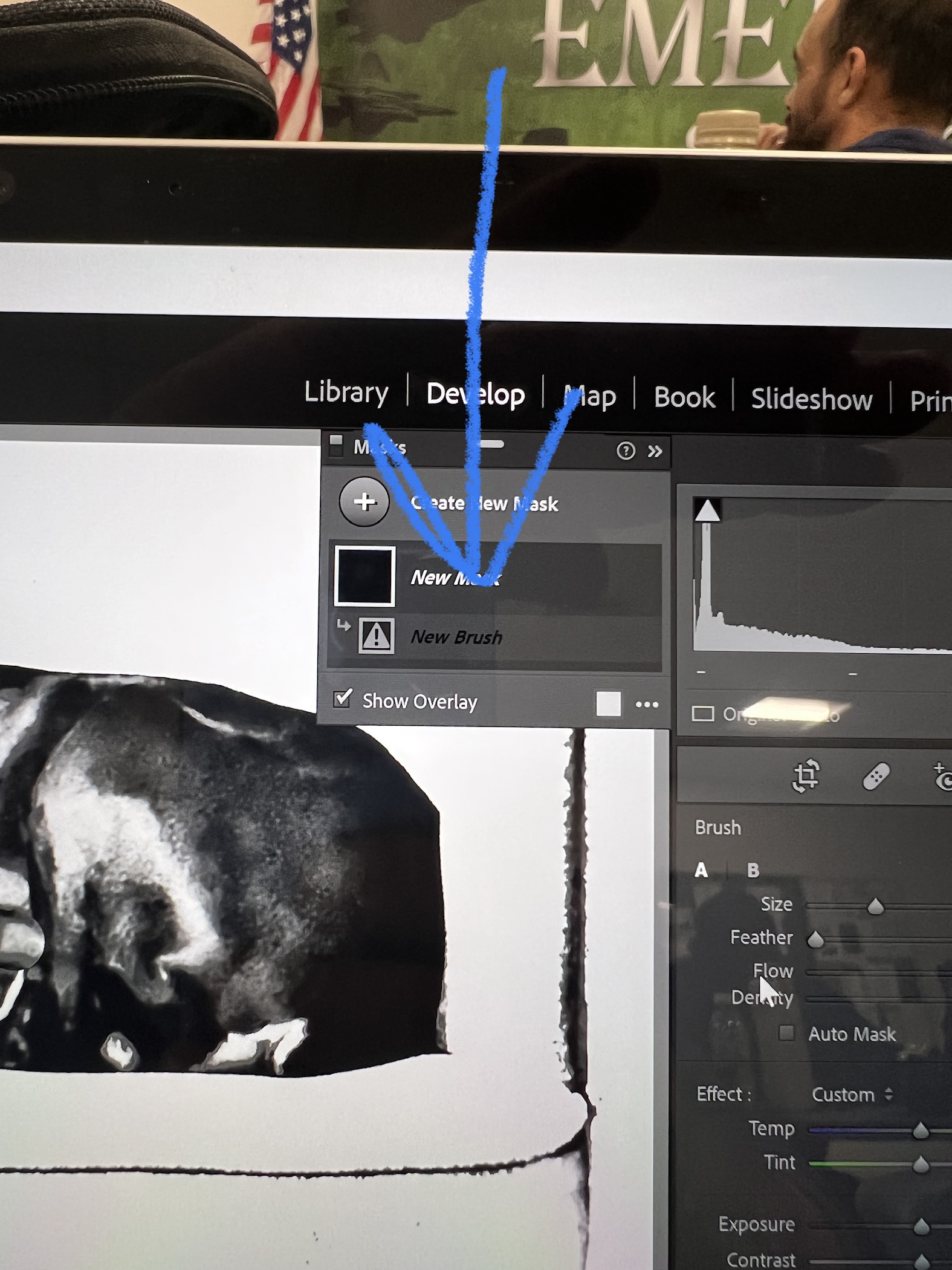 Solved Brushes not showing up Adobe Community 12706879