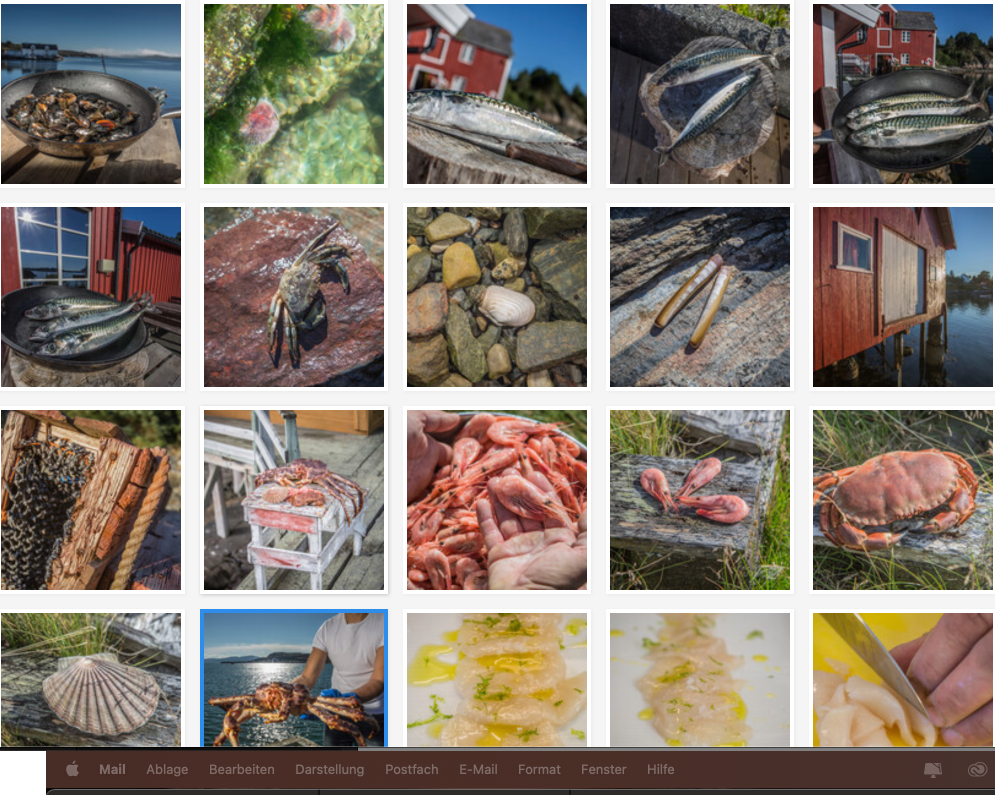 Bildschirmfoto 2022-01-27 um 13.40.14.png