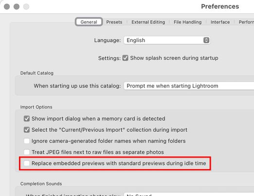 Lightroom-Classic-11-Replace-Previews-at-Idle-Time.jpg