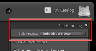 Lightroom-Classic-11-Import-Embedded-and-Sidecar.jpg