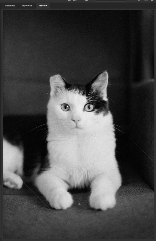 Screenshot 2022-02-07 at 22.16.08.png