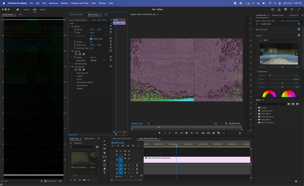 Screen Shot 2022-02-07 at 9.35.36 PM.png
