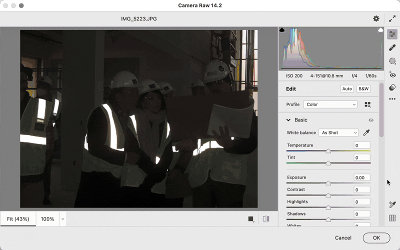 Camera Raw Highlights Whites.gif