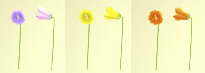 flower color change.jpg