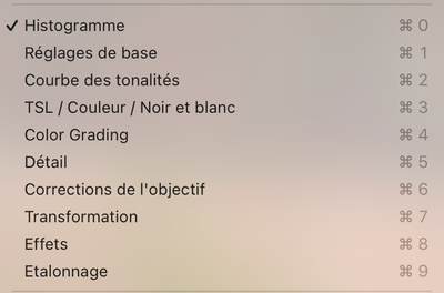 Capture d’écran 2022-02-25 à 17.56.29.png