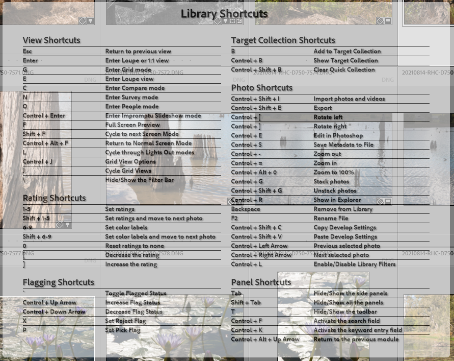Solved Lightroom CC and Classic keyboard shortcuts list? Adobe