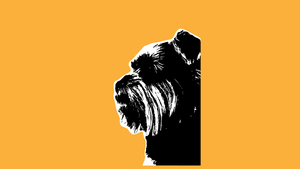 dog2.png