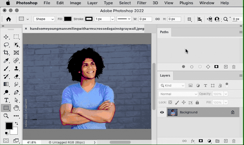 Photoshop Select Subject leave outline.gif