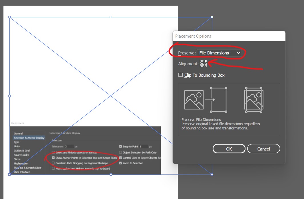 Placed Image Changes Size. The Bounding Box Is A L... - Adobe Community ...