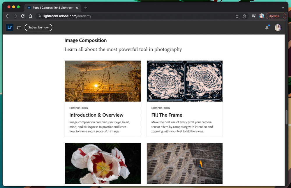 Lightroom Academy Articles.png