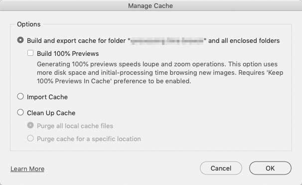 Bridge-Manage-Cache.jpg