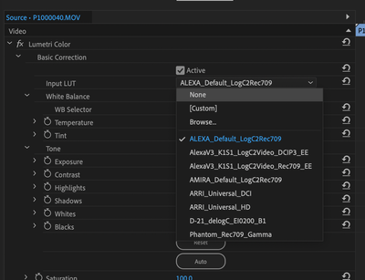 Input LUT pop-up menu of Lumetri Color Effect applied to the Source clip.