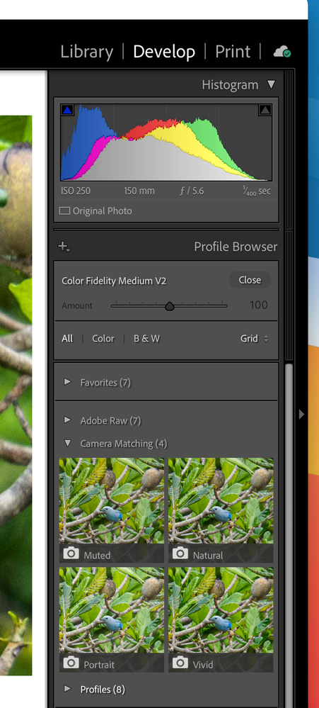 Screenshot 2022-04-07 at 9.59.27 AM.png