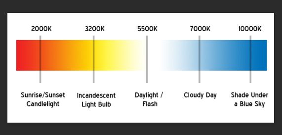 white balance.jpg