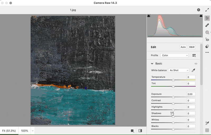 Camera Raw highlights reduce.gif