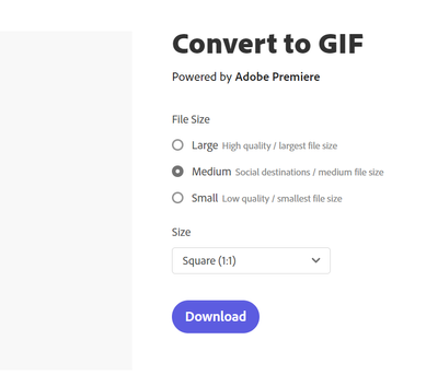 Convert to Gif is too small - Adobe Community - 13005298