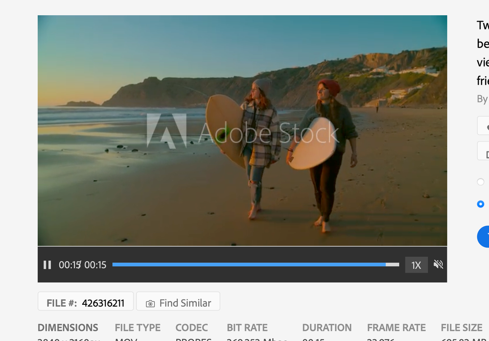 Adobe Stock Surfers walking.png