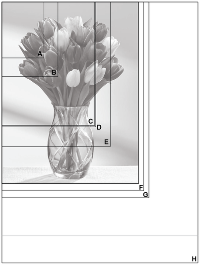 Solved: How to control images sizes in a reflowable ePub? - Adobe ...