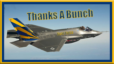 F35-Jet-BearHead-NoMarkingsOnPlane-ThanksABunch-X50.png