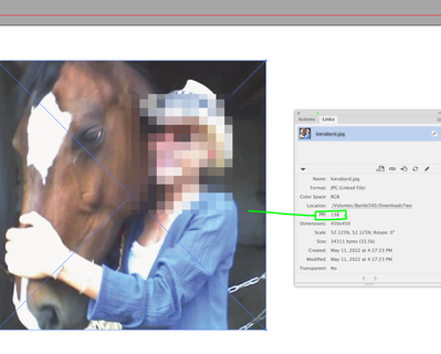 Screen Shot 2022-05-17 at 12.15.35 PM.png