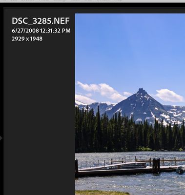 Screenshot 2022-05-17 192438.jpg