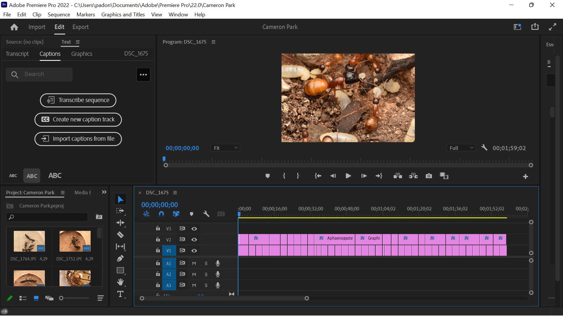 Premiere Pro will not encode Media - Adobe Community - 12968162