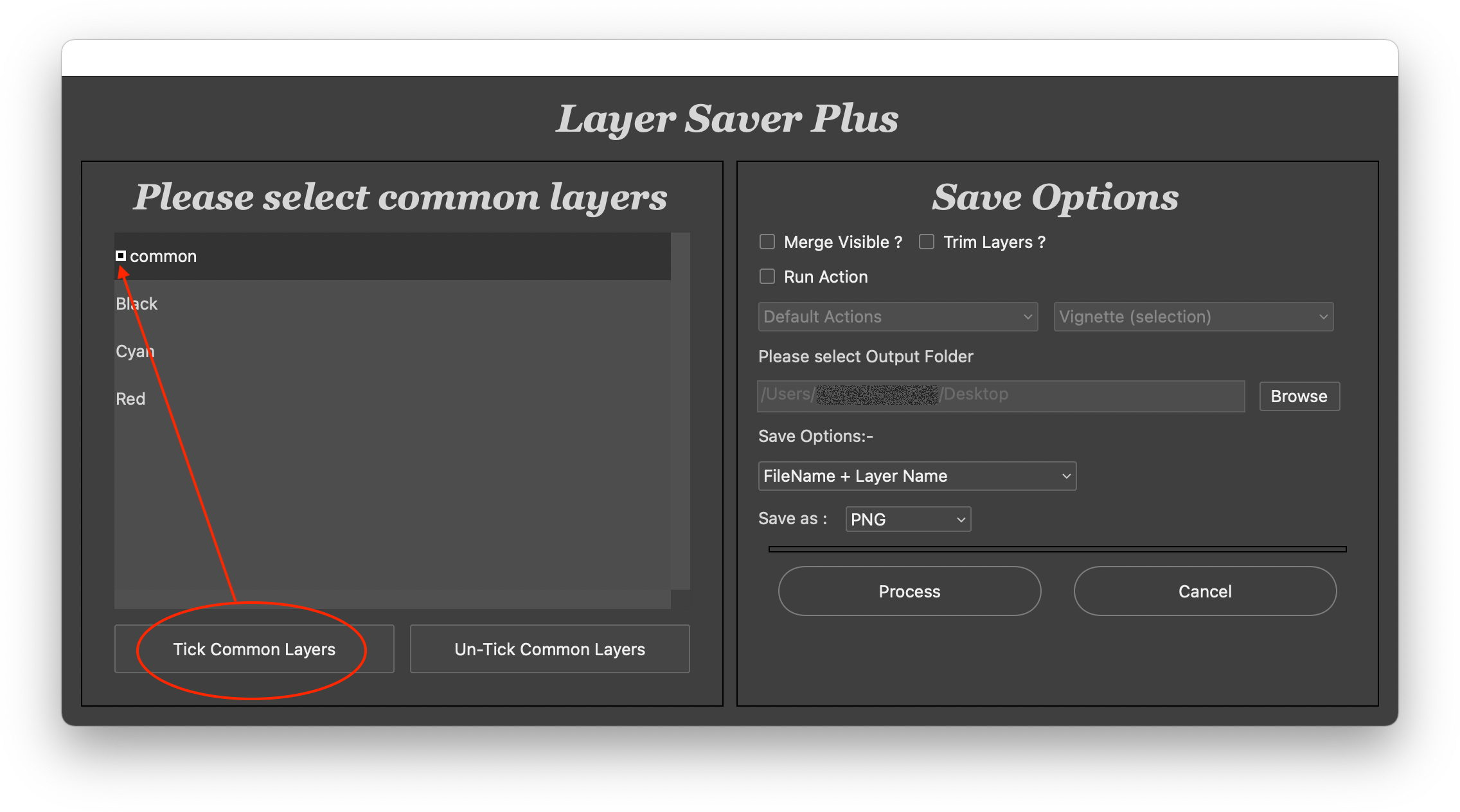 how-to-export-individual-layers-with-one-layer-alw-adobe-support