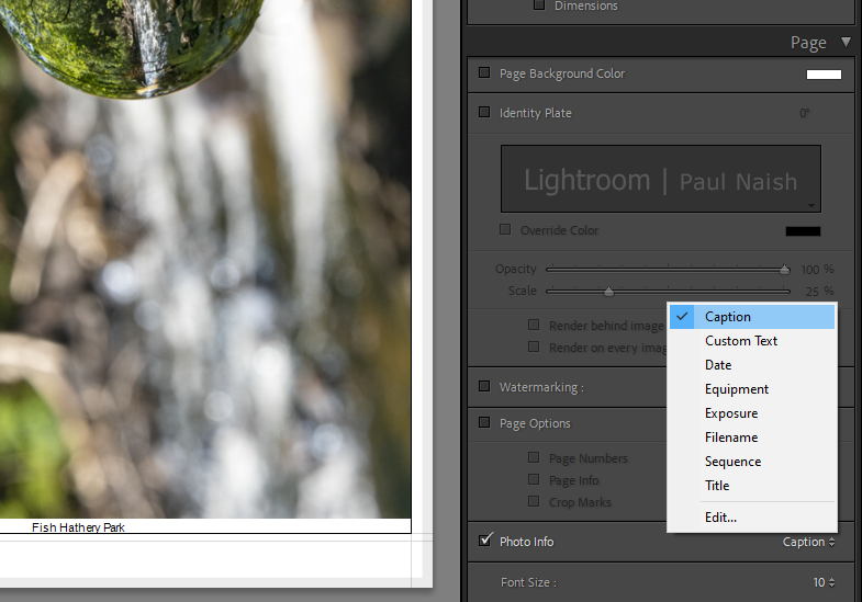 Adding captions to EXPORTED photo - Adobe Community - 12977325