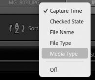 Lightroom-Classic-import-sort-by-media-type.jpg
