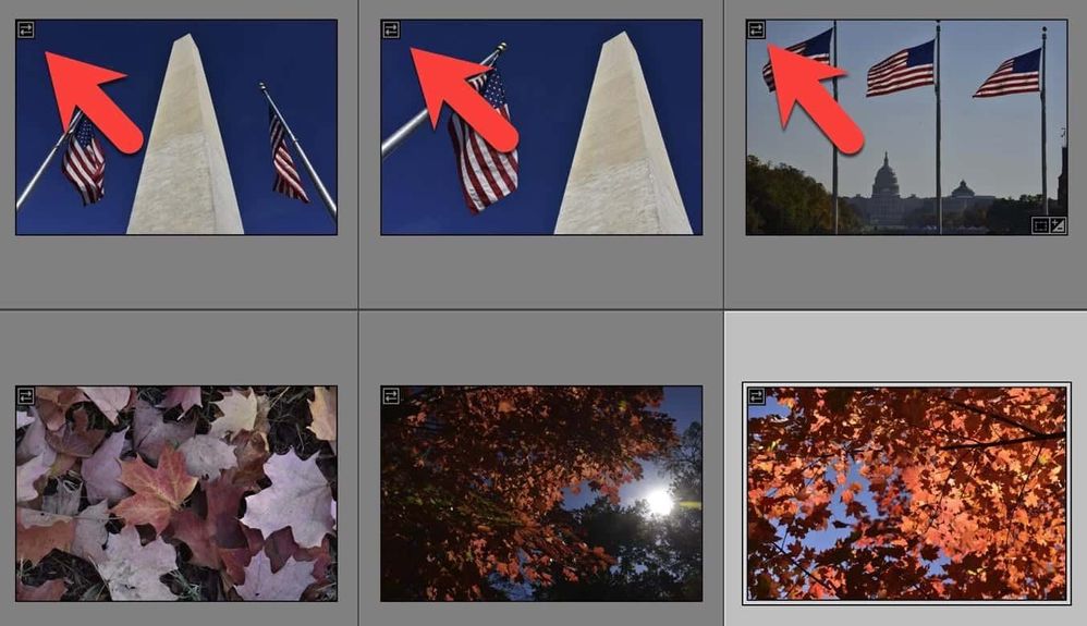 lightroom-classic-import-embedded-preview-icon.jpeg