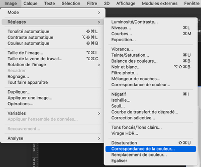 Capture d’écran 2022-06-09 à 09.51.24.png