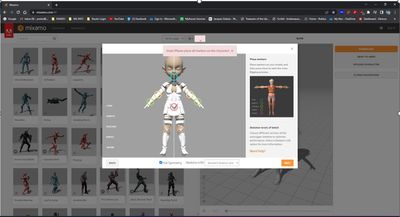 Mixamo Rigging Error.jpg
