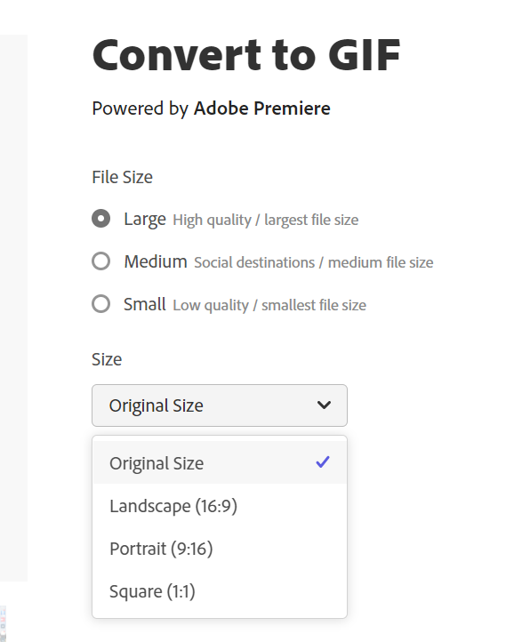 Convert to Gif is too small - Adobe Community - 13005298