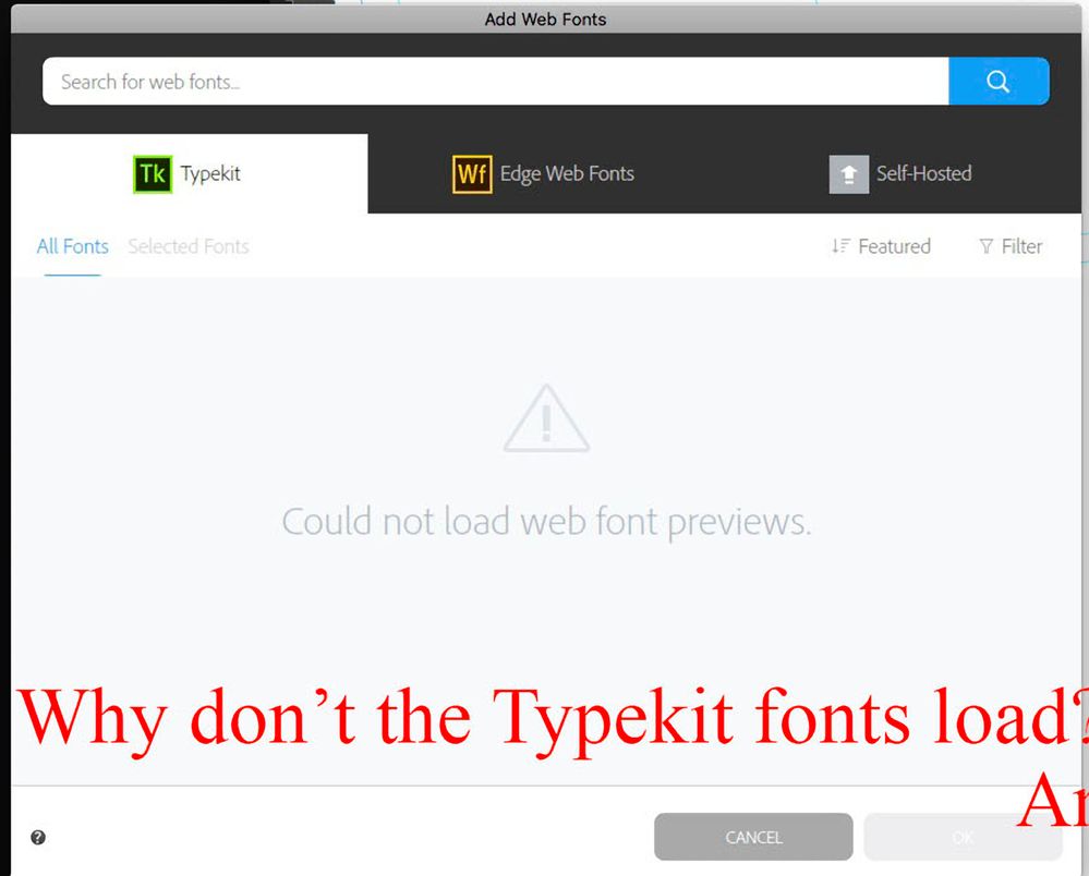 load web fonts typekit screen CU.jpg