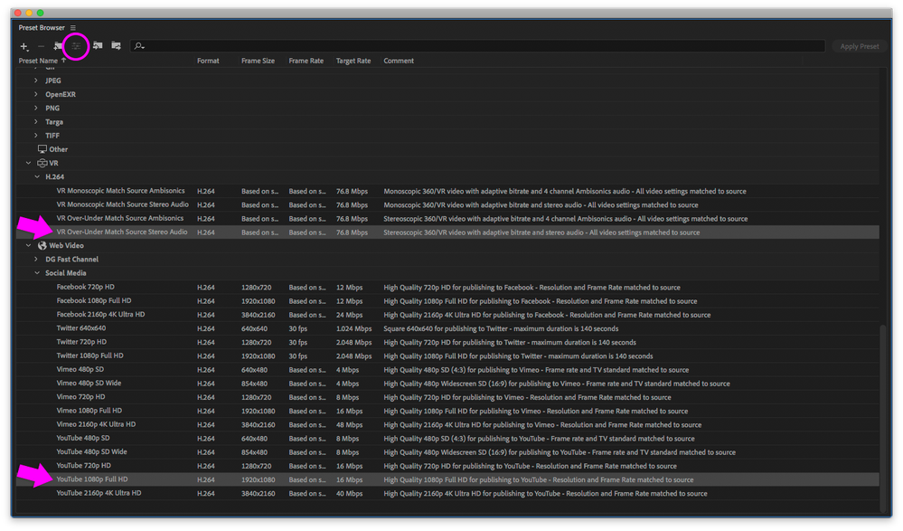 Adobe Media Encoder 2020 Preset Browser Tab showing two presets selected.