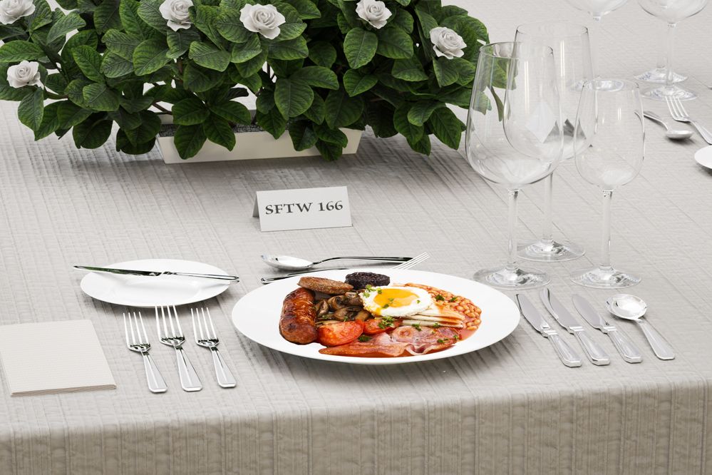 SFTW166Plates JE01.jpg