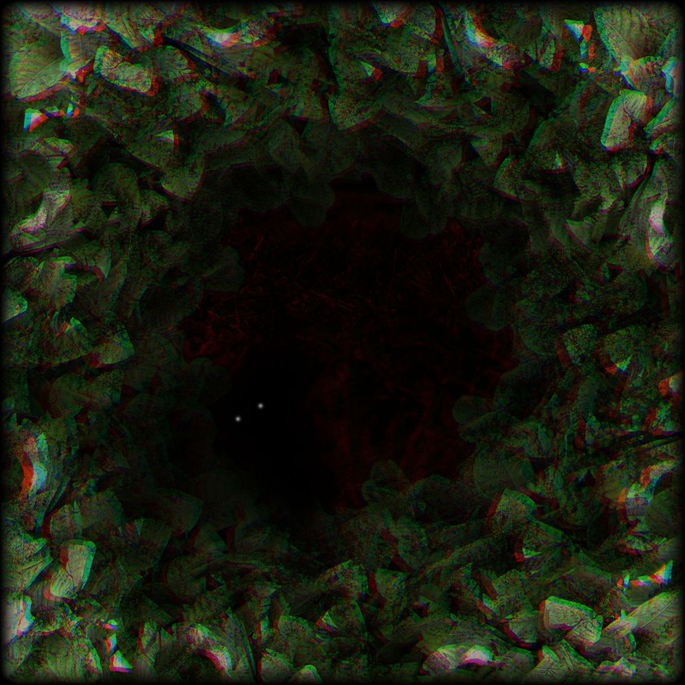 "Come Down Here. I Won't Hurt You."