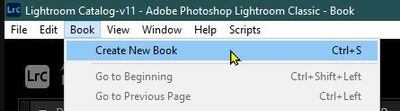 2022-07-11 09_00_27-Lightroom Catalog-v11 - Adobe Photoshop Lightroom Classic - Book.jpg