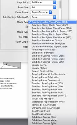 Page Setup Roll Paper.jpg