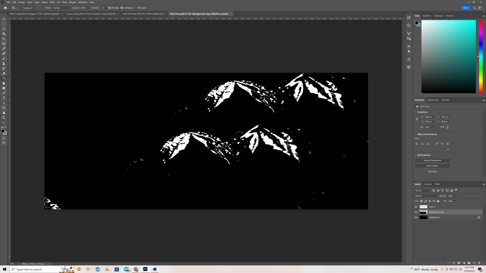 paint Error_Paint Bucket.PNG