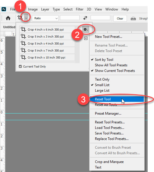 fine grid on image in photoshop 2020