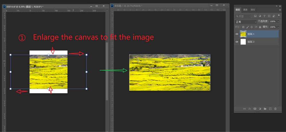 002-Enlarge the canvas to fit the image.png